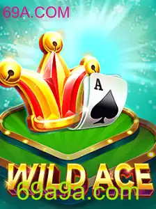 Explorando o Universo de WildAce: Um Jogo de Estratégia e Aventura
